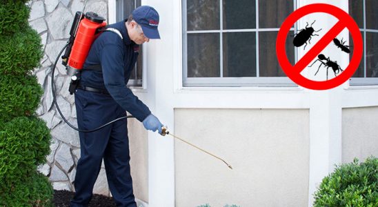 Lalapaşa Böcek ve Haşere İlaçlama böcek ilaçlama ve haşere kontrolü — ilaclama-tr.com